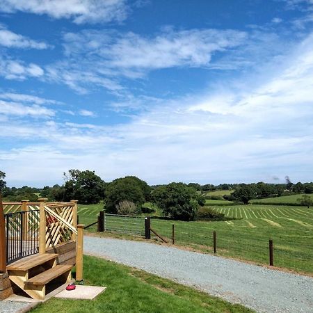 Archers Meadow Shropshire Элсмир Экстерьер фото